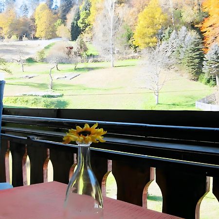 Haus Muehlgrund Διαμέρισμα Bad Wildbad Εξωτερικό φωτογραφία