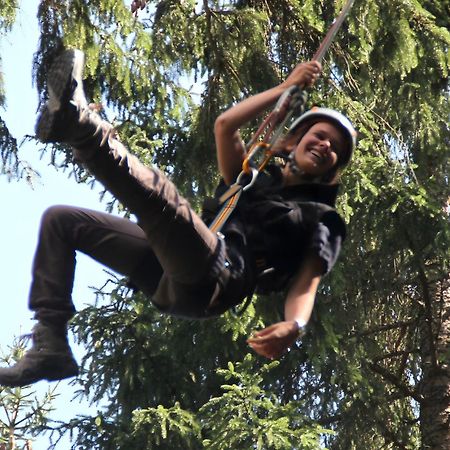 Haus Muehlgrund Διαμέρισμα Bad Wildbad Εξωτερικό φωτογραφία