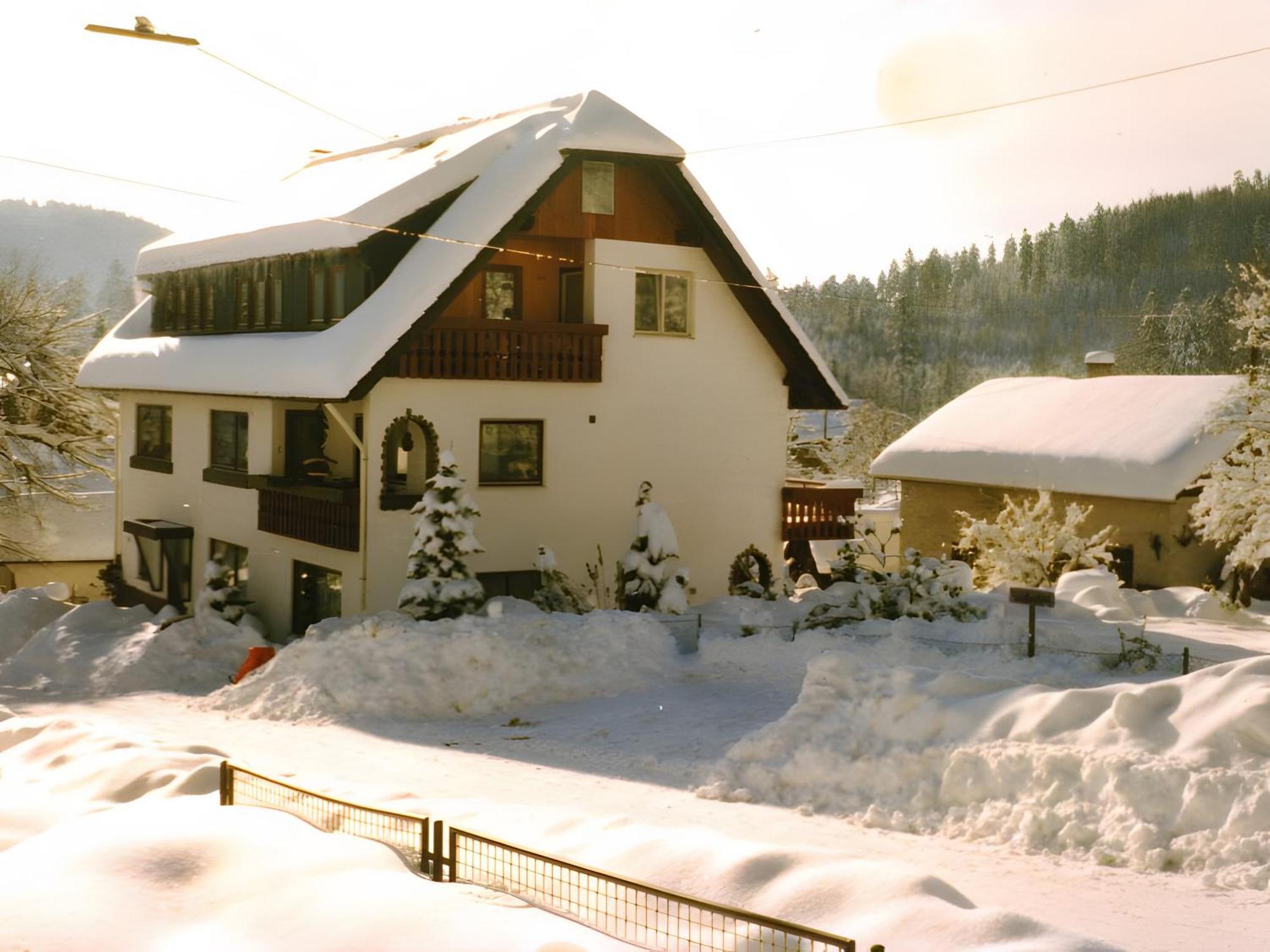 Haus Muehlgrund Διαμέρισμα Bad Wildbad Εξωτερικό φωτογραφία