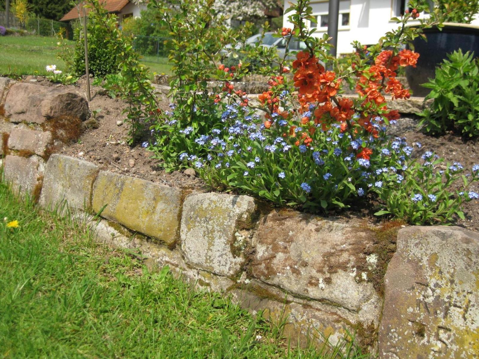 Haus Muehlgrund Διαμέρισμα Bad Wildbad Εξωτερικό φωτογραφία