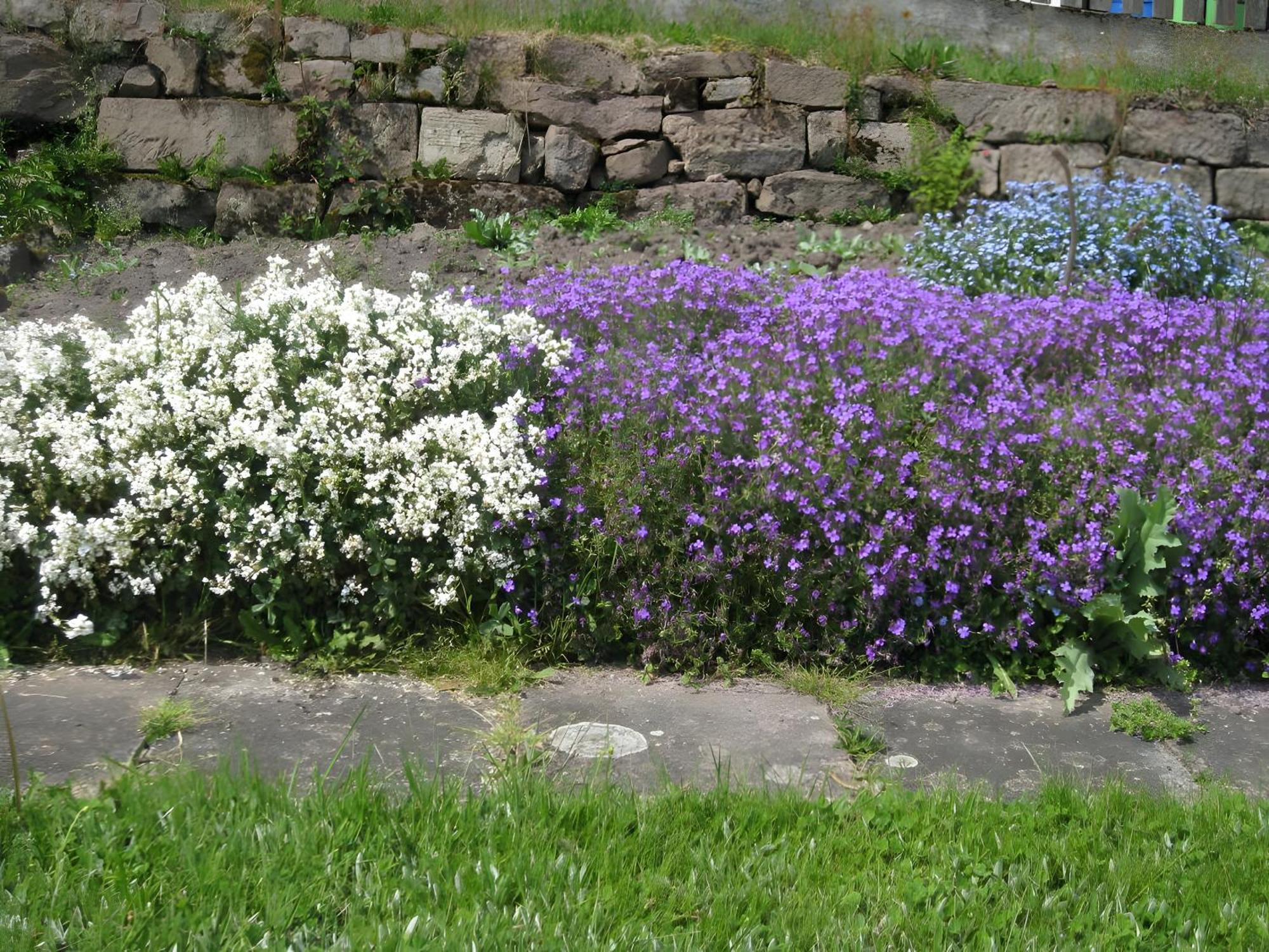 Haus Muehlgrund Διαμέρισμα Bad Wildbad Εξωτερικό φωτογραφία