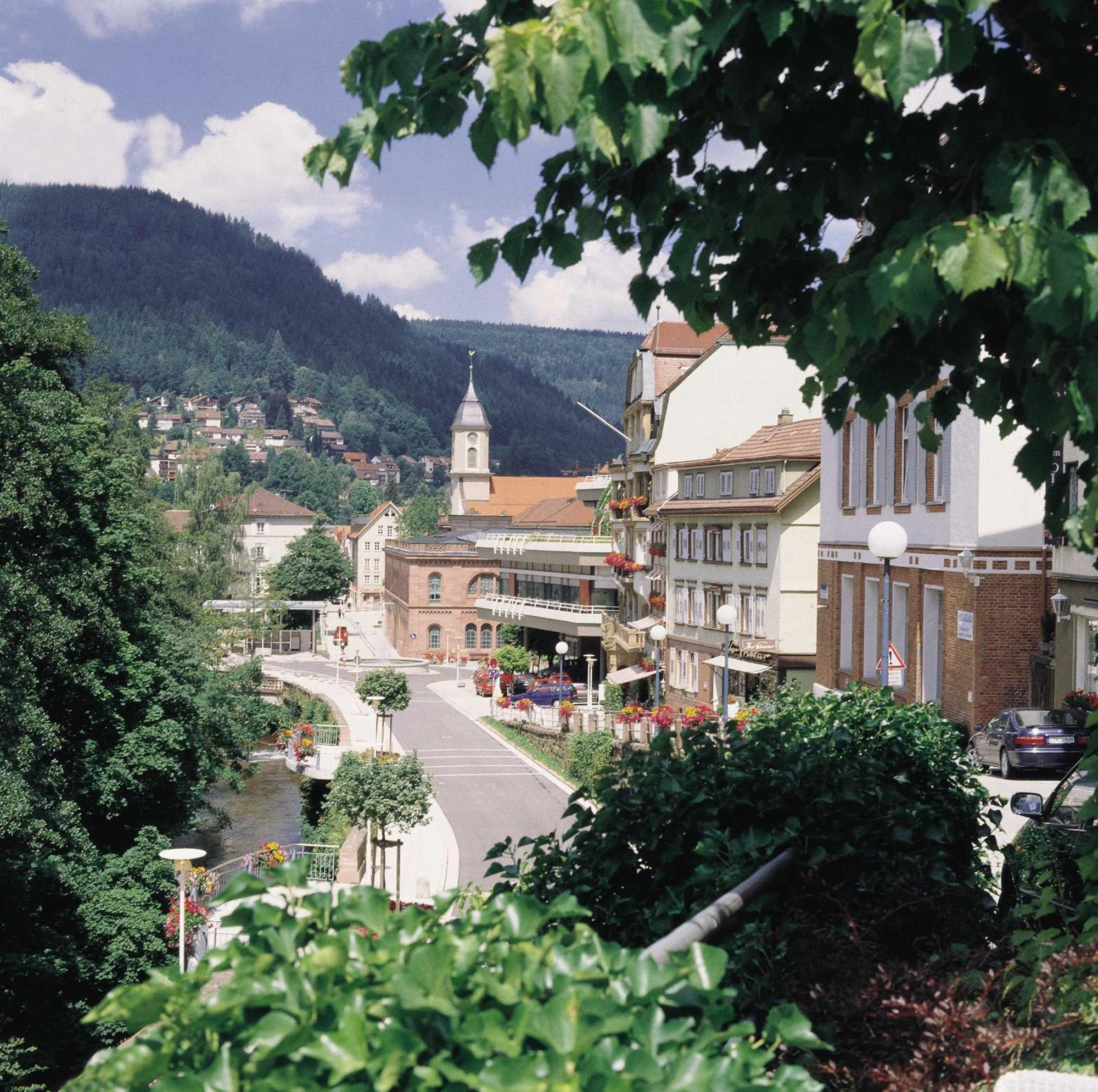 Haus Muehlgrund Διαμέρισμα Bad Wildbad Εξωτερικό φωτογραφία