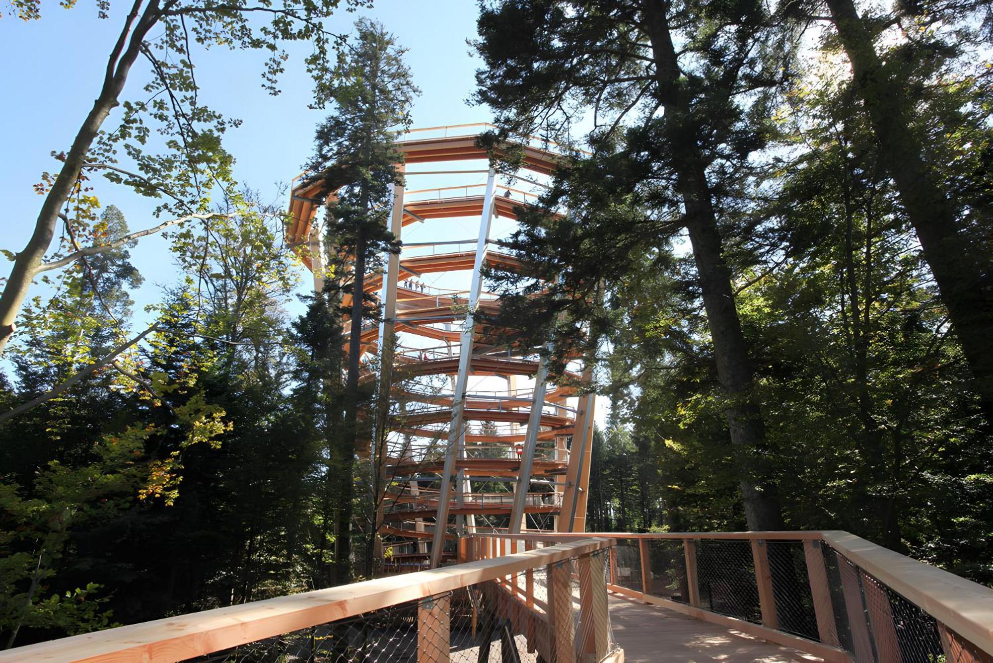 Haus Muehlgrund Διαμέρισμα Bad Wildbad Εξωτερικό φωτογραφία